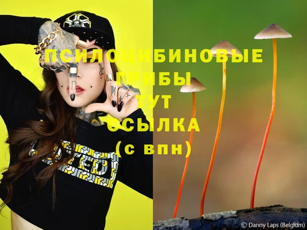 spice Абинск