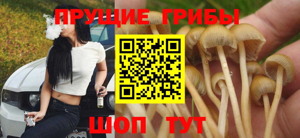 Псилоцибиновые грибы Psilocybe  Вход с VPN  Нефтеюганск 